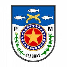 PM-AL MATERIAL FREE SD E CFO